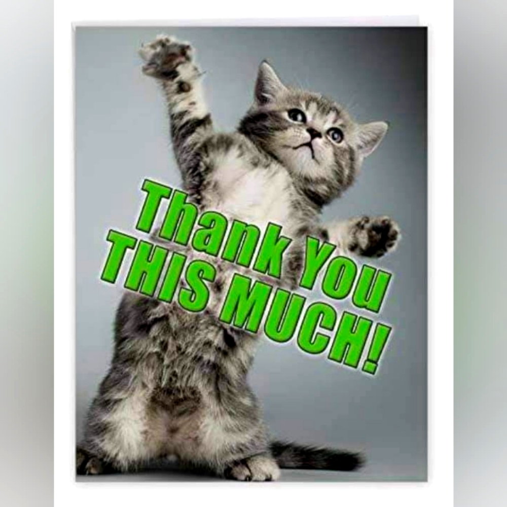 Thank you